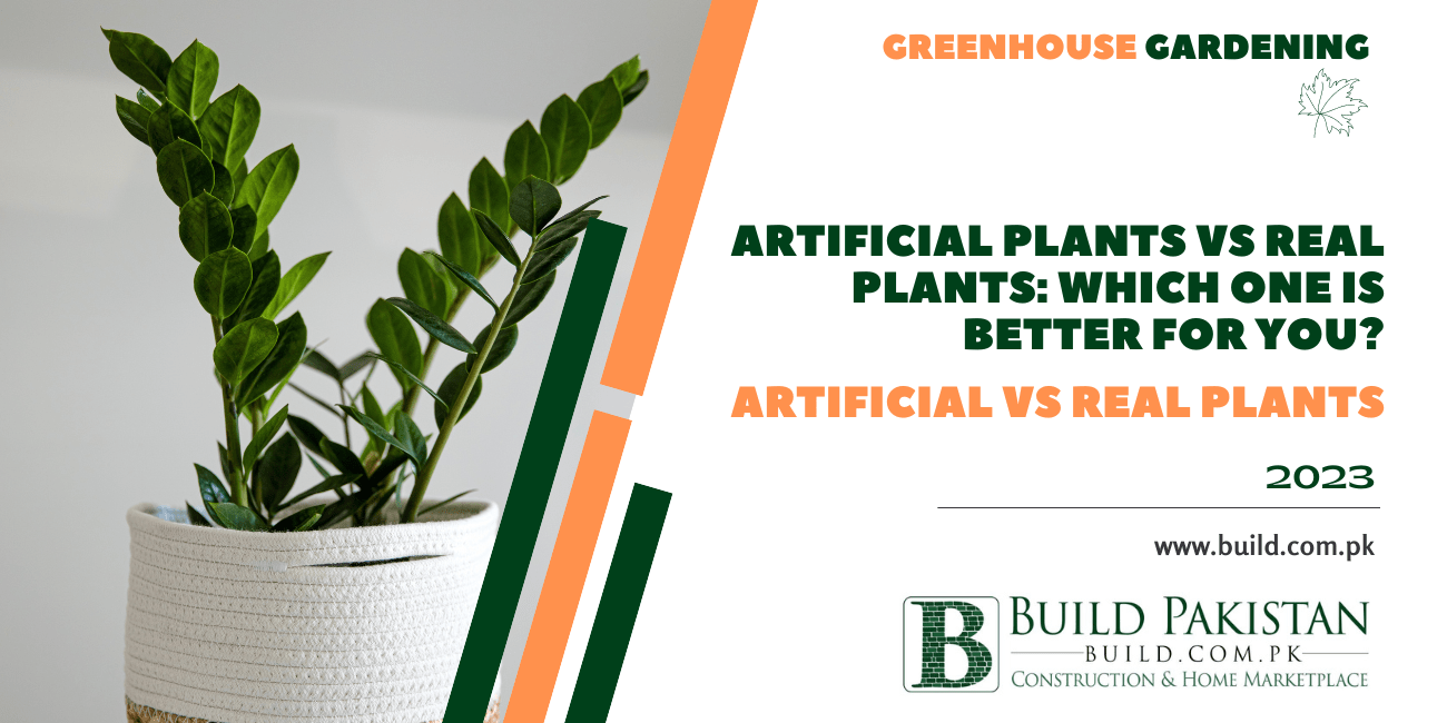 Artificial plants vs real plants: which one is better for you?