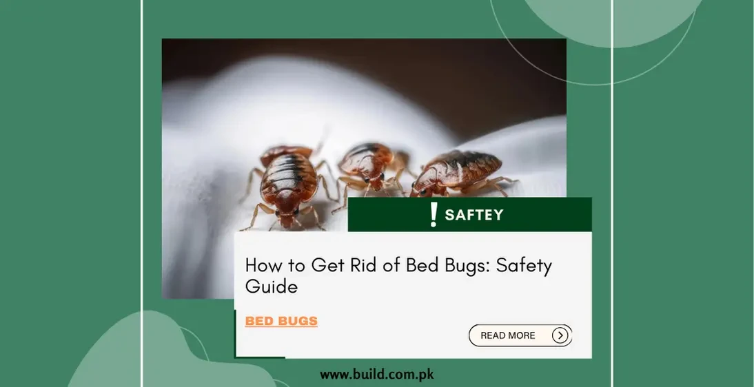 How to Get Rid of Bed Bugs: Safety Guide