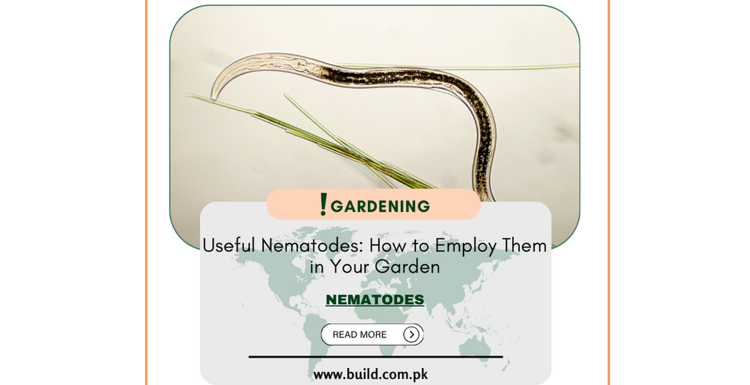 Useful Nematodes: How to Employ Them in Your Garden