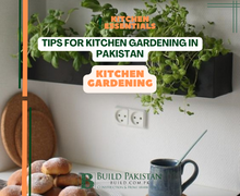 Tips for Kitchen Gardening in Pakistan