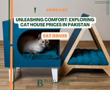 Unleashing Comfort: Exploring Cat House Prices in Pakistan