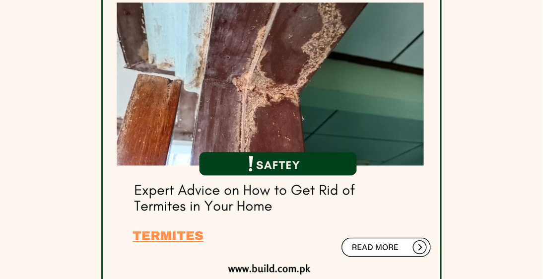 Expert Advice on How to Get Rid of Termites in Your Home