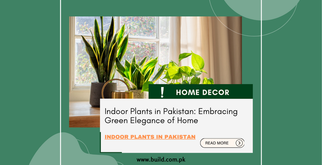 Indoor Plants in Pakistan: Embracing Green Elegance of Home