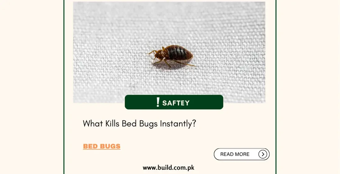 What Kills Bed Bugs Instantly?